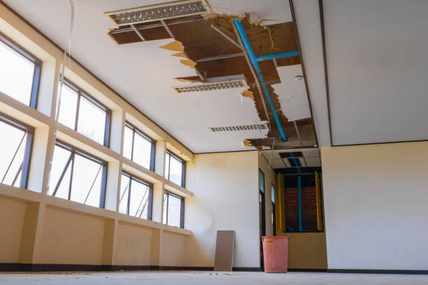 Best Flood damage cleanup  in Wd, AR