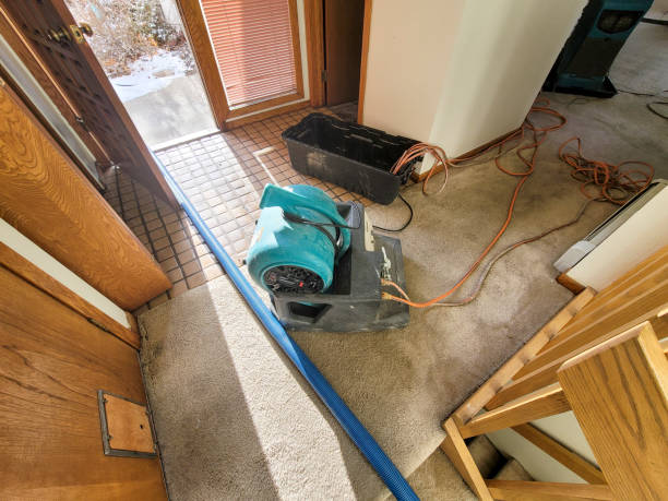 Best Flooded house restoration  in Wd, AR