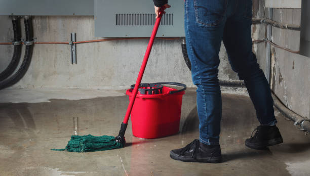 Best Fire Damage Restoration  in Wd, AR