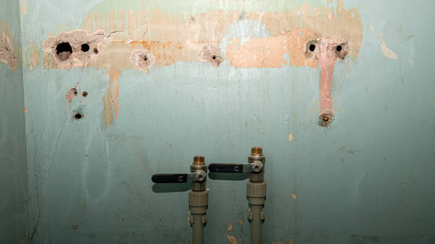 Best Water damage contractors near me  in Wd, AR